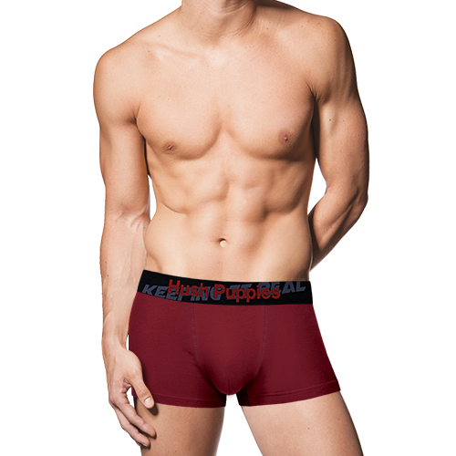 HUSH PUPPIES 2PCS MEN'S BOXER BRIEFS | COTTON ELASTANE